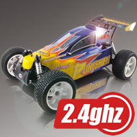 Punisher 1/5th Scale 4WD RTR Buggy with 23CC Petrol Engine & 2.4ghz Radio