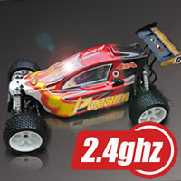 Punisher 1/5th Scale 4WD RTR Buggy with 23CC Petrol Engine & 2.4ghz Radio