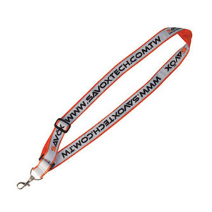 Lanyard