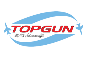 Top Gun Logo