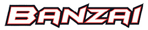 FTX BANZAI 2.4ghz 4WD RTR 1/10 BRUSHED DRIFT CAR LOGO